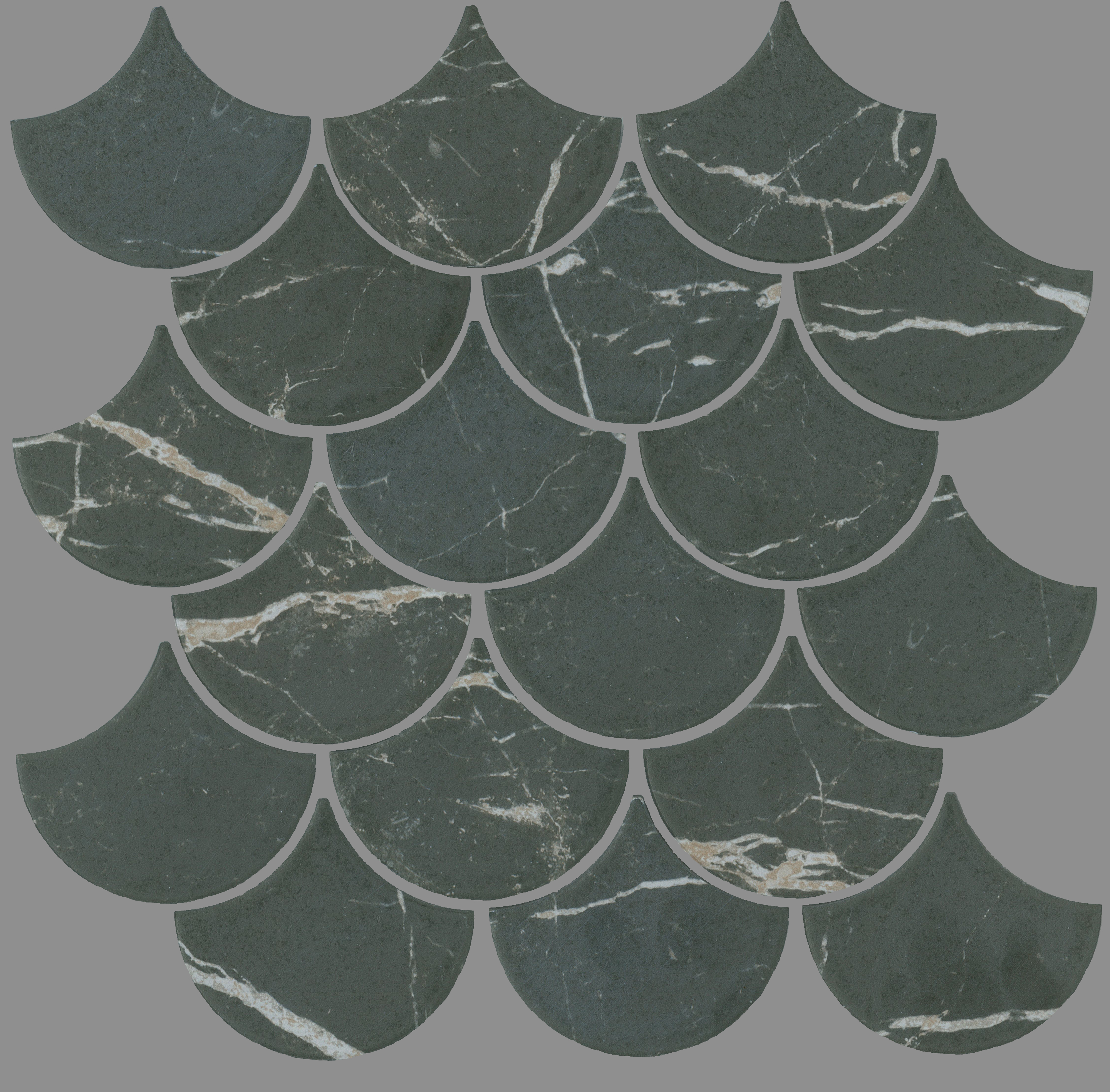 Marquina Boreale