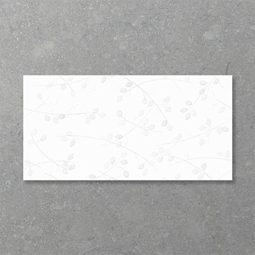 Giovane Betulla Bianco Matte